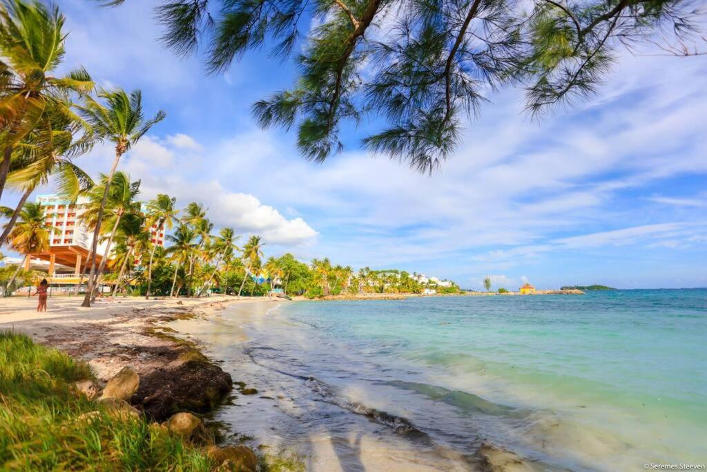 Paradis Studio & Plage A 1 Min Le Gosier  Exterior foto
